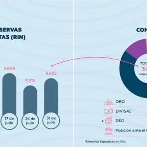 las-rin-cierran-julio-en-$us-3.632-millones,-segun-el-bcb