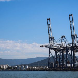 area-tecnica-do-cade-vai-dar-aval-a-operacao-para-msc-e-maersk-participarem-do-leilao-do-tecon-10
