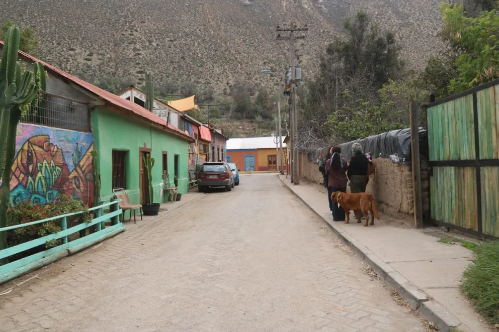 anne,-una-mujer-que-encontro-su-hogar-en-el-corazon-del-valle-del-elqui