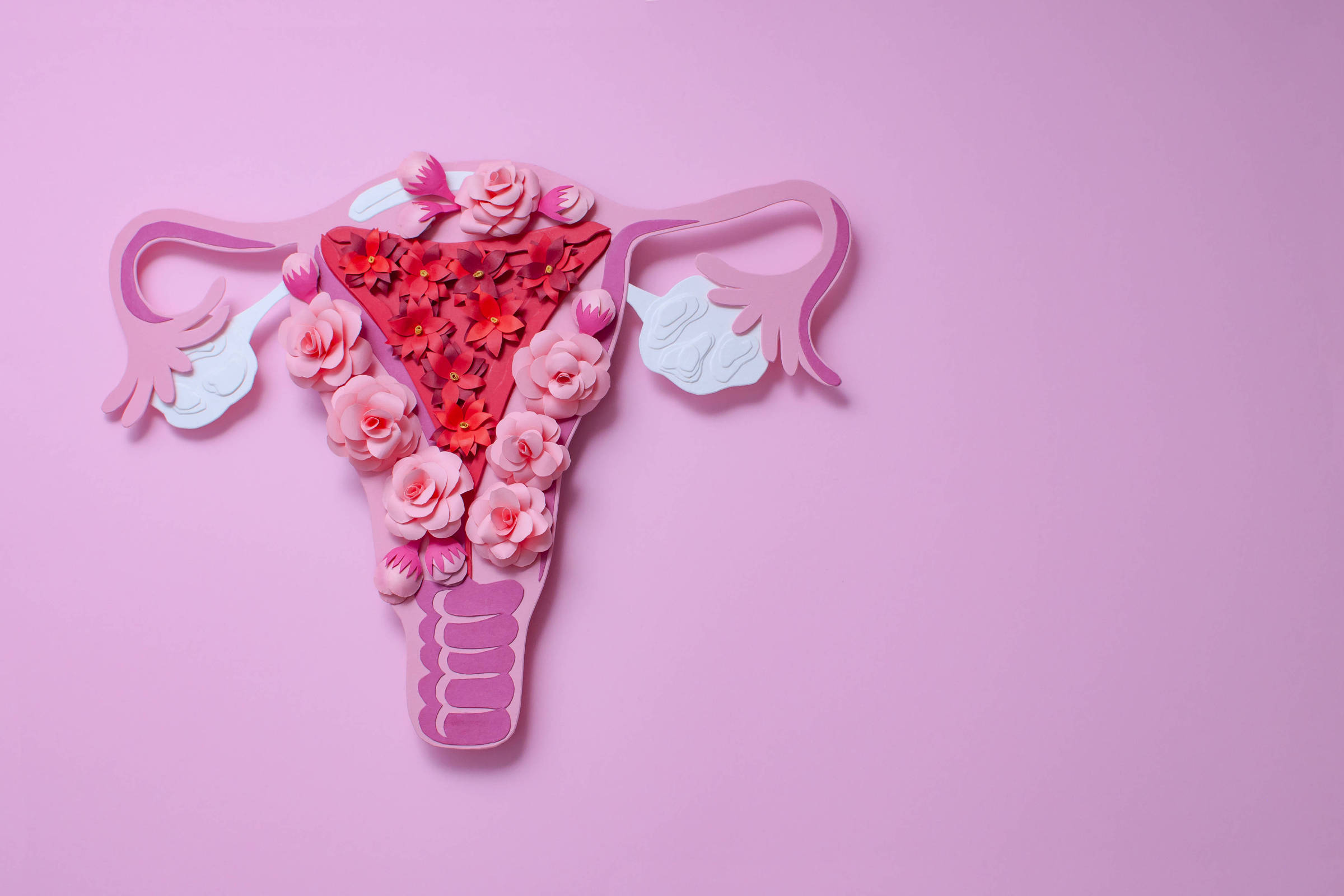 medicina-conhece-menos-o-corpo-feminino-do-que-deveria,-diz-ginecologista