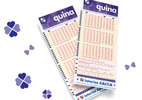 quina-sorteia-premio-acumulado-de-r$-3,74-milhoes;-confira-dezenas