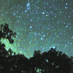 perseidas-2026:-cuando-y-donde-ver-desde-la-argentina-la-lluvia-de-estrellas-mas-esperada-del-ano?