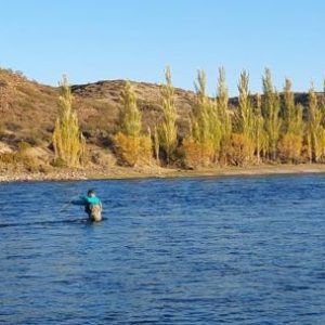 temporada-de-pesca-2026-2027-en-la-patagonia:-cuanto-costaran-las-licencias-y-que-cambios-habra