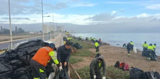 Sin mortandad: machas de Peñuelas sortean la emergencia climática sin-mortandad:-machas-de-penuelas-sortean-la-emergencia-climatica