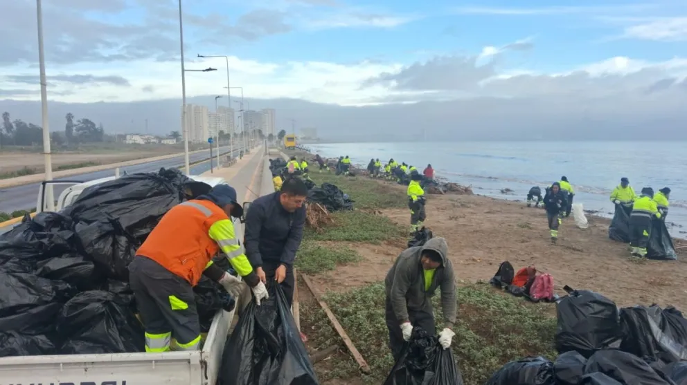 sin-mortandad:-machas-de-penuelas-sortean-la-emergencia-climatica