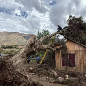 valle-de-elqui-concentra-los-mayores-efectos-de-ultimas-lluvias