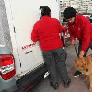 que-servicios-ofrecera?-la-serena-prepara-una-clinica-veterinaria-sobre-ruedas