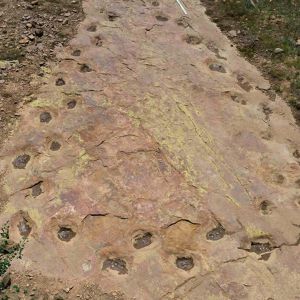 unas-huellas-de-dinosaurios-de-150-millones-de-anos-revelan-algo-extrano-en-su-forma-de-caminar