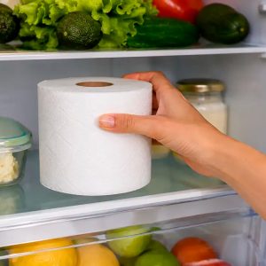 por-que-cada-vez-mas-personas-colocan-un-rollo-de-papel-higienico-dentro-del-refrigerador:-conoce-los-beneficios