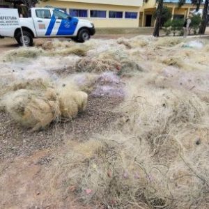 destruyeron-17-km-de-redes-utilizadas-para-la-pesca-ilegal-en-termas-de-rio-hondo