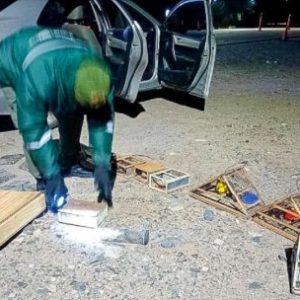 rescataron-30-aves-silvestres-y-secuestraron-trampas-clandestinas