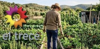 Fue una de las periodistas más famosas de El Trece, se alejó de los medios y ahora tiene una huerta fue-una-de-las-periodistas-mas-famosas-de-el-trece,-se-alejo-de-los-medios-y-ahora-tiene-una-huerta