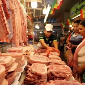 falta-de-diesel-incrementara-el-precio-del-kilo-de-cerdo-a-bs-40