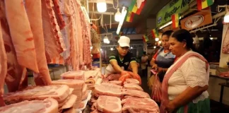 Falta de diésel incrementará el precio del kilo de cerdo a Bs 40 falta-de-diesel-incrementara-el-precio-del-kilo-de-cerdo-a-bs-40
