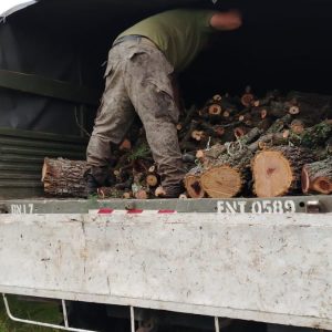 soldado-denuncia-que-lo-obligaban-a-cortar-lena-en-jornadas-de-doce-horas