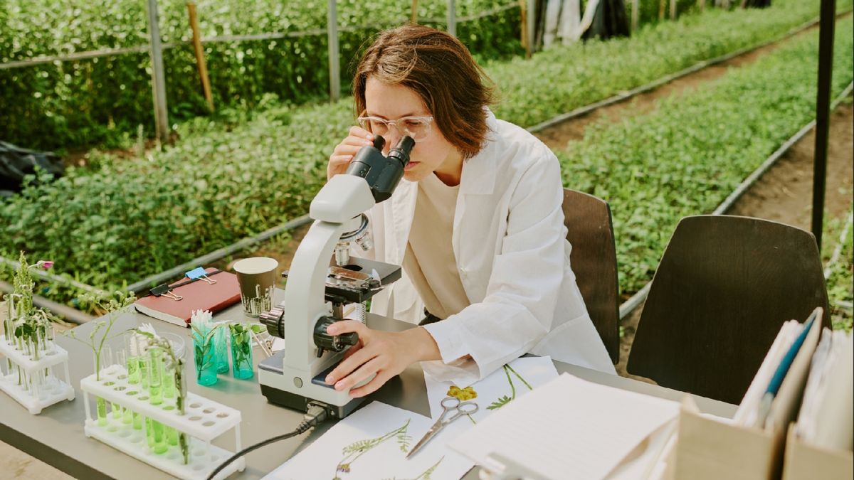 mujeres-uruguayas-vinculadas-a-ciencia,-tecnologia,-ingenieria-y-matematica-podran-postularse-a-formacion-gratuita-en-liderazgo