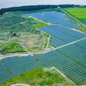 mas-alla-de-los-molinos:-uruguay-le-abre-la-puerta-a-una-decada-de-inversiones-solares