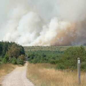 incendie-en-belgique:-le-feu-dans-un-parc-naturel-dans-lest-du-pays-a-deja-parcouru-1650hectares