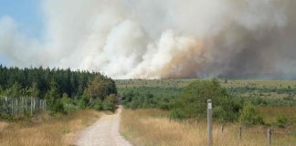 Incendie en Belgique: le feu dans un parc naturel dans lest du pays a déjà parcouru 1650hectares incendie-en-belgique:-le-feu-dans-un-parc-naturel-dans-lest-du-pays-a-deja-parcouru-1650hectares