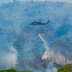 gobernador-de-cundinamarca-alerta-por-incendios-forestales:-la-vega-y-caparrapi-concentran-las-operaciones-de-emergencia