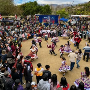 artistas-se-ofrecen-a-actuar-gratis-en-la-pampilla-solidaria-de-ovalle