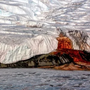 antartida:-vida-marina-persiste-bajo-glaciar-taylor-por-milenios