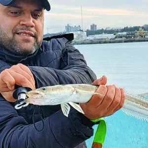 variada-de-invierno:-la-alternativa-del-mar-frio