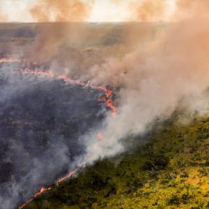 brigadas-indigenas-buscam-unir-saber-tradicional-a-drones-e-mapas-na-prevencao-de-incendios