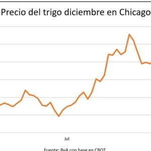 los-precios-de-los-granos-empujados-por-“las-dos-w”-como-fuerzas-alcistas