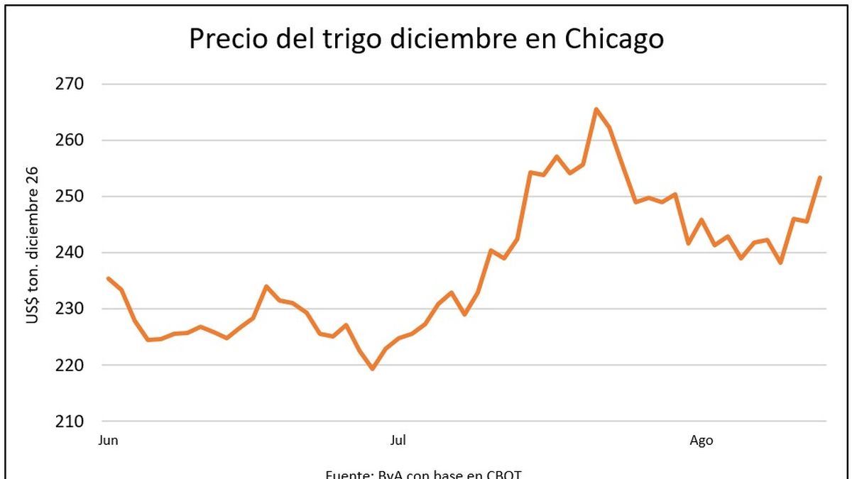 los-precios-de-los-granos-empujados-por-“las-dos-w”-como-fuerzas-alcistas