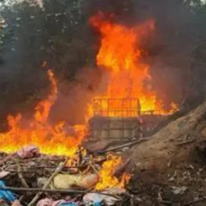 cochabamba:-destruyen-cuatro-fabricas-moviles-de-cocaina