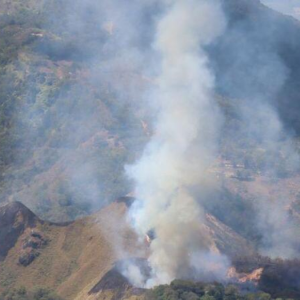 tolima-lucha-por-apagar-18-incendios-y-recuperar-mas-de-11.200-hectareas-consumidas-por-las-llamas