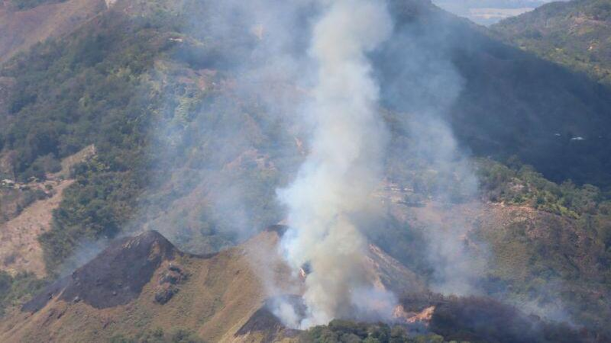 tolima-lucha-por-apagar-18-incendios-y-recuperar-mas-de-11.200-hectareas-consumidas-por-las-llamas