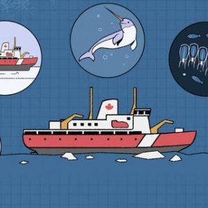 video:-quatre-semaines-a-bord-dun-brise-glace,-ces-navires-a-la-technologie-de-plus-en-plus-convoitee