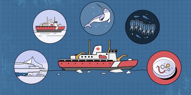 video:-quatre-semaines-a-bord-dun-brise-glace,-ces-navires-a-la-technologie-de-plus-en-plus-convoitee