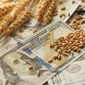 retenciones:-cuanto-aportara-el-campo-pese-a-la-baja-de-las-alicuotas