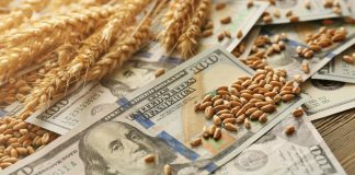 Retenciones: cuánto aportará el campo pese a la baja de las alícuotas retenciones:-cuanto-aportara-el-campo-pese-a-la-baja-de-las-alicuotas