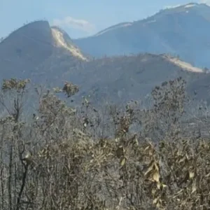 el-fuego-no-da-tregua-en-antioquia:-despliegan-operativos-en-varios-municipios-para-frenar-las-llamas