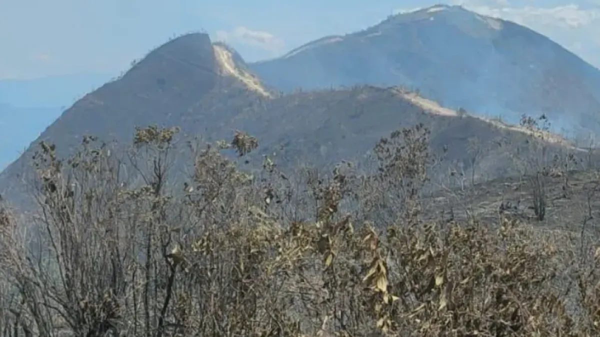 el-fuego-no-da-tregua-en-antioquia:-despliegan-operativos-en-varios-municipios-para-frenar-las-llamas