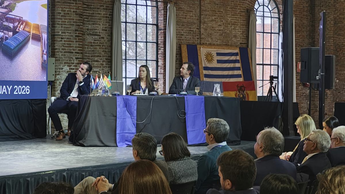 la-hidrovia-y-sus-carencias:-privados-reclamaron-mejoras-en-costos,-navegacion-y-organos-de-conduccion