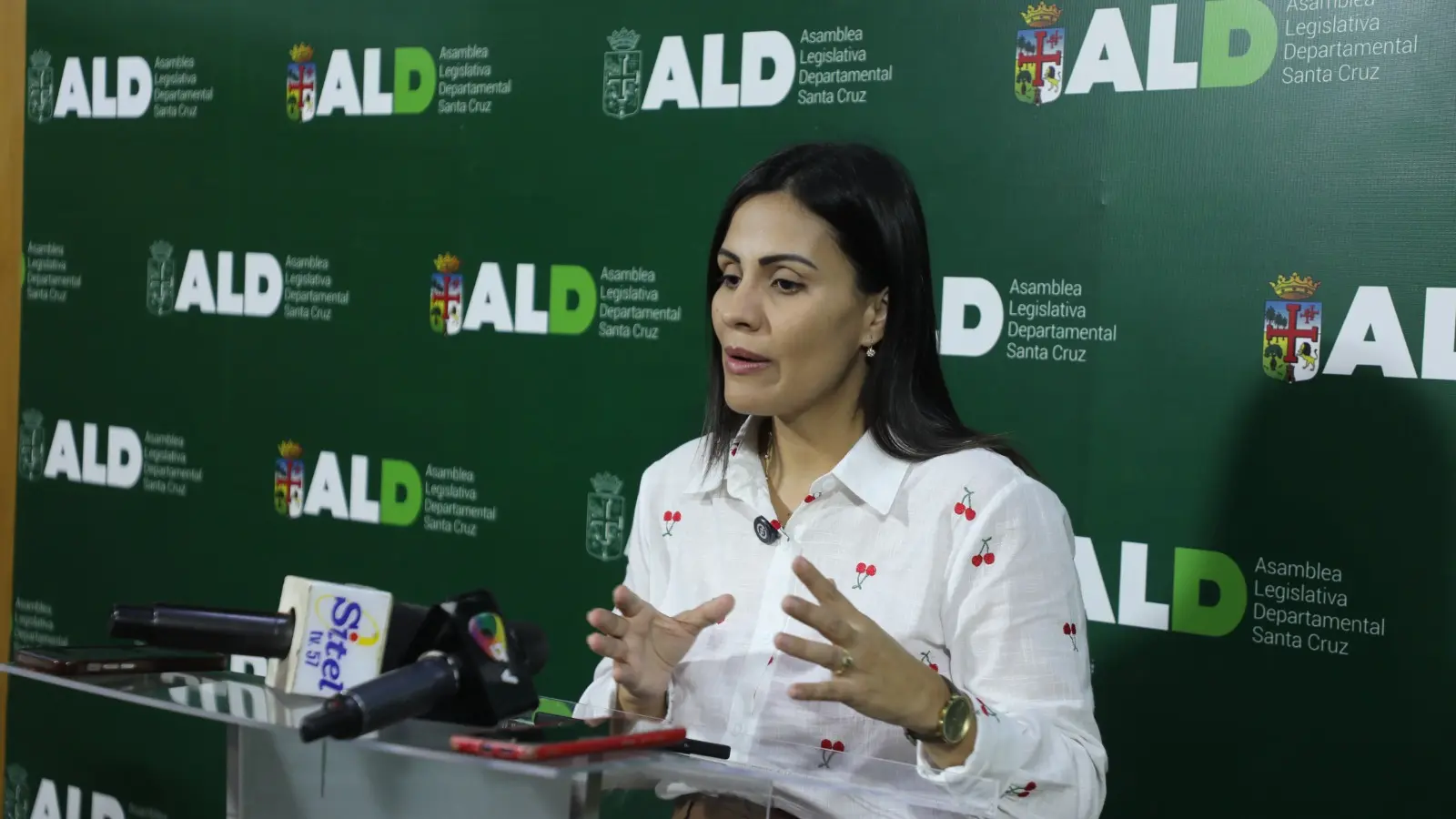 alvarez-plantea-libre-importacion-de-carburantes-y-alianzas-publico-privadas-para-superar-el-desabastecimiento