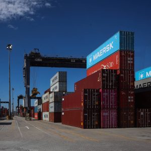 area-tecnica-do-cade-aprova-operacao-entre-msc-e-maersk-em-disputa-pelo-tecon-santos-10