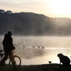 pr-deve-ser-atingido-por-frio-intenso-com-temperatura-de-0-?-nos-proximos-dias