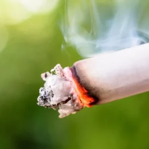distribuidores-de-cigarrillos-piden-que-incautaciones-elevadas-de-contrabando-se-consideren-lavado-de-activos
