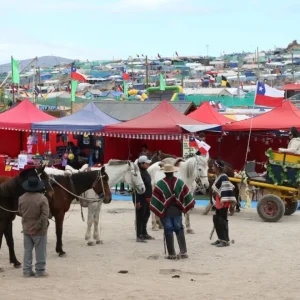 gremios-del-turismo-mantienen-altas-expectativas-para-fiestas-patrias
