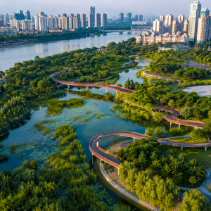 asi-funciona-la-ciudad-esponja,-una-innovadora-solucion-contra-inundaciones-que-ya-usan-china,-eeuu.-y-otros-paises-del-mundo