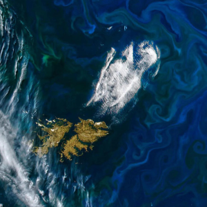 la-nasa-afirma-que-el-nino-esta-alterando-la-vida-marina:-detectan-disminucion-del-fitoplancton-en-el-pacifico