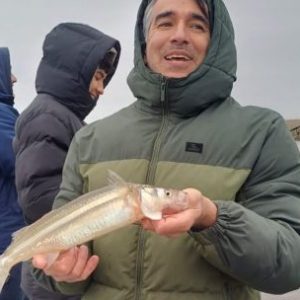pejerrey-a-pleno:-10-lagunas-bonaerenses-que-estan-dando-muy-buena-pesca