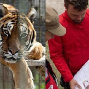 asi-comenzo-el-traslado-de-30-animales-del-ex-zoo-de-lujan-hacia-2-santuarios-en-el-exterior