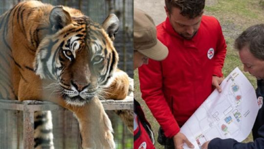 asi-comenzo-el-traslado-de-30-animales-del-ex-zoo-de-lujan-hacia-2-santuarios-en-el-exterior